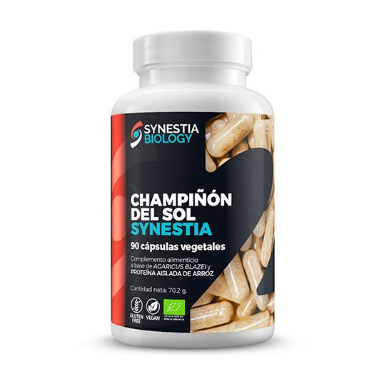 Champiñon del Sol Synestia biology