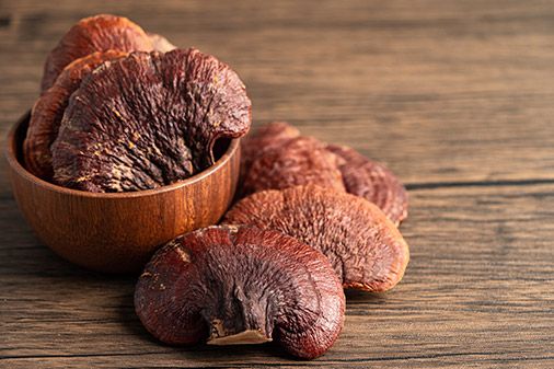 reishi MICOTERAPIA